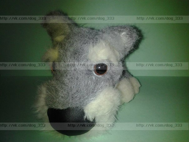 The Dog Collection Болталка