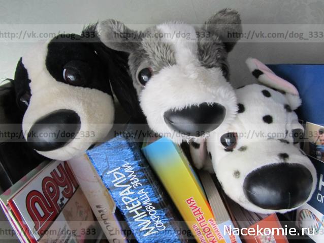 The Dog Collection Болталка