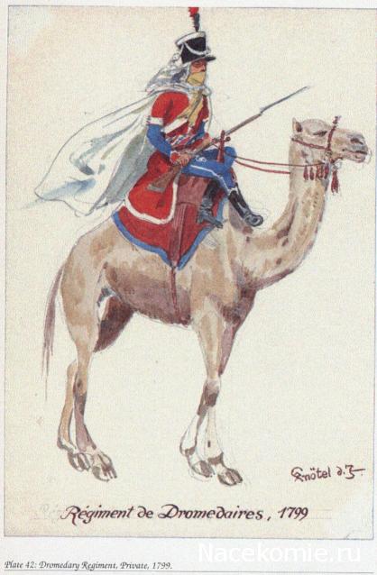 Униформология НВ: Великая Армия