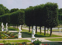 Tatusya - Приглашение в Грантхолл