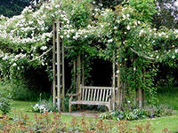 Tatusya - Приглашение в Грантхолл