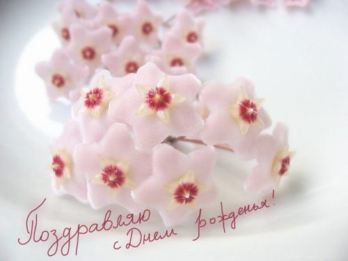 Дамы эпохи - Наши дни рождения