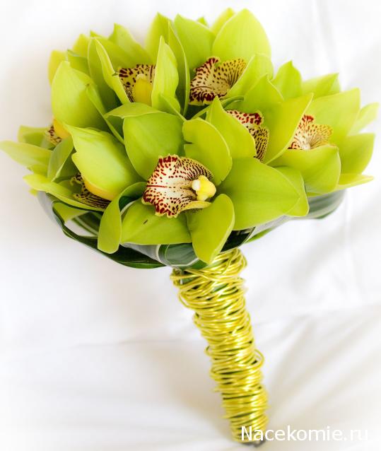 Дамы эпохи - Наши дни рождения