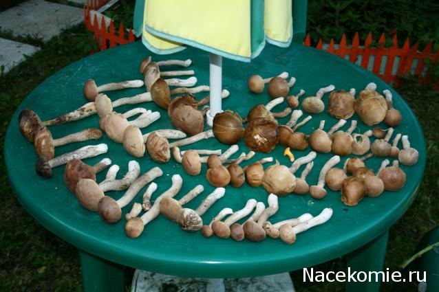 Солдаты ВОВ - Землянка (общение на разные темы)