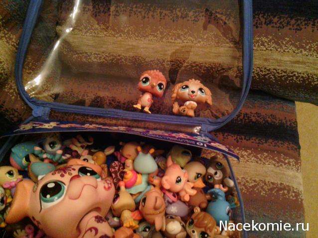 Littlest Pet Shop (Маленький зоомагазин)