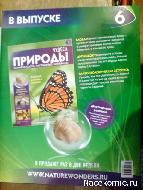 Тестовая серия