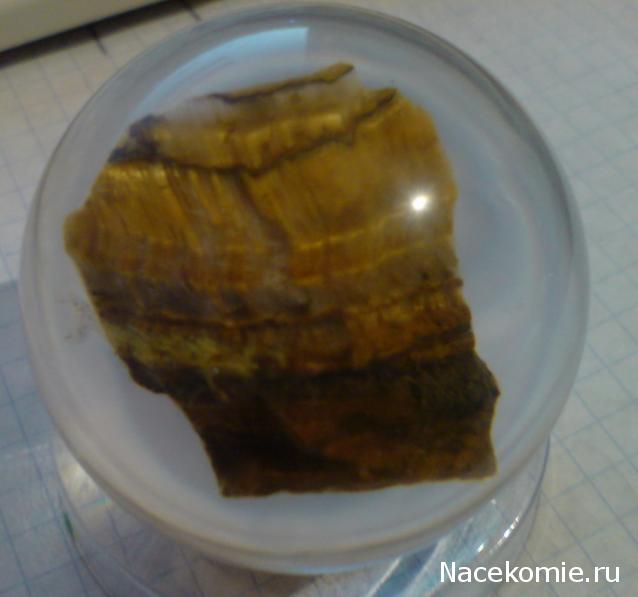 Тестовая серия