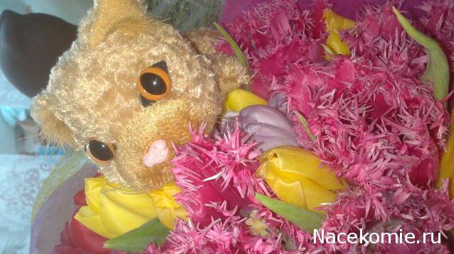 The Cat Collection №40 Селкирк-рекс Фото