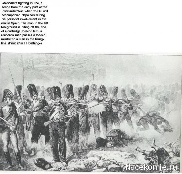 Униформология НВ: Великая Армия