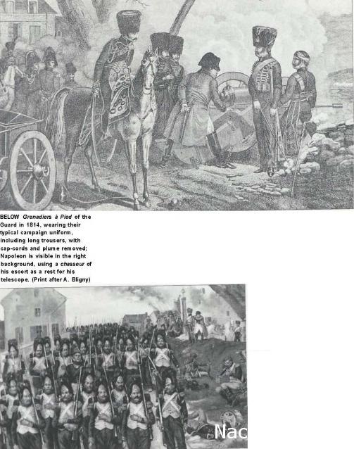 Униформология НВ: Великая Армия