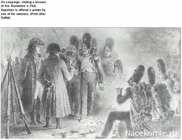 Униформология НВ: Великая Армия