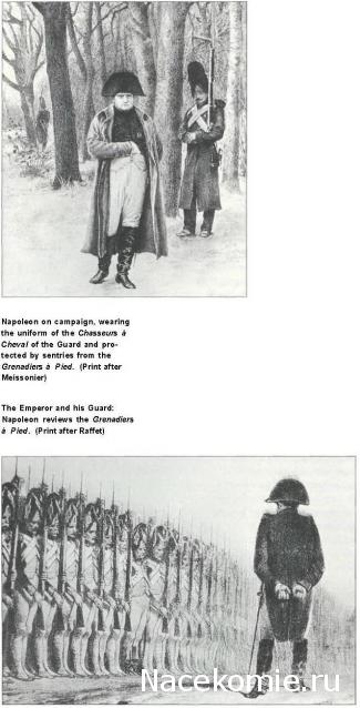 Униформология НВ: Великая Армия