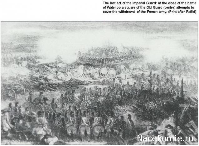 Униформология НВ: Великая Армия