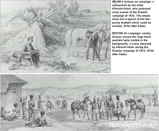 Униформология НВ: Великая Армия