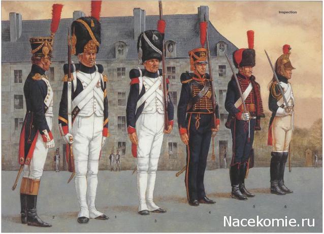 Униформология НВ: Великая Армия