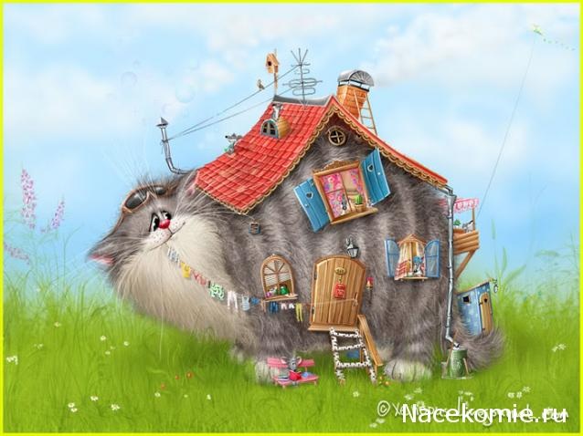 Дом Мечты наши дни рождения