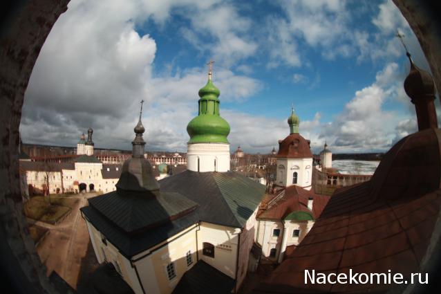 sphynx Канадские сфинксы в английском доме