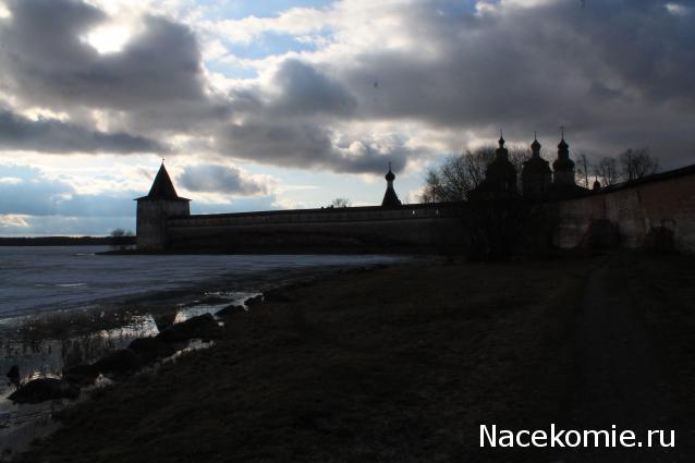 sphynx Канадские сфинксы в английском доме