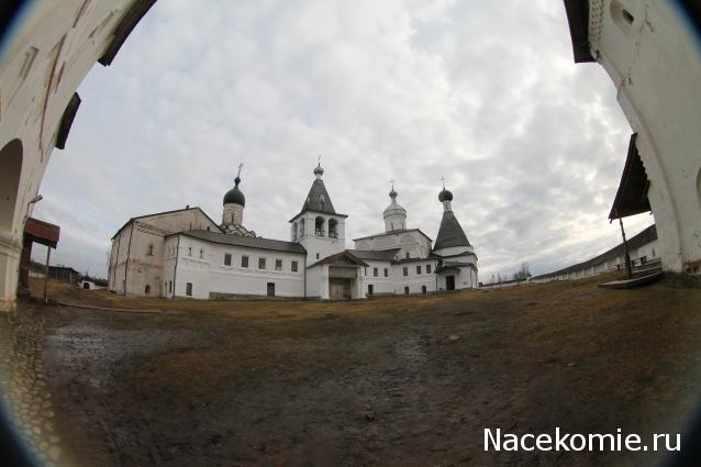 sphynx Канадские сфинксы в английском доме