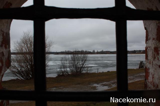 sphynx Канадские сфинксы в английском доме