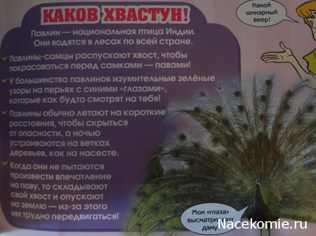 Scooby Doo: Великие тайны мира