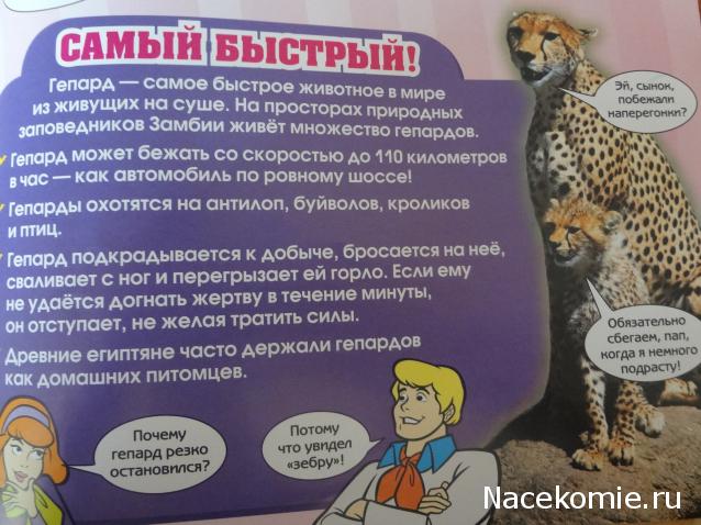 Scooby Doo: Великие тайны мира