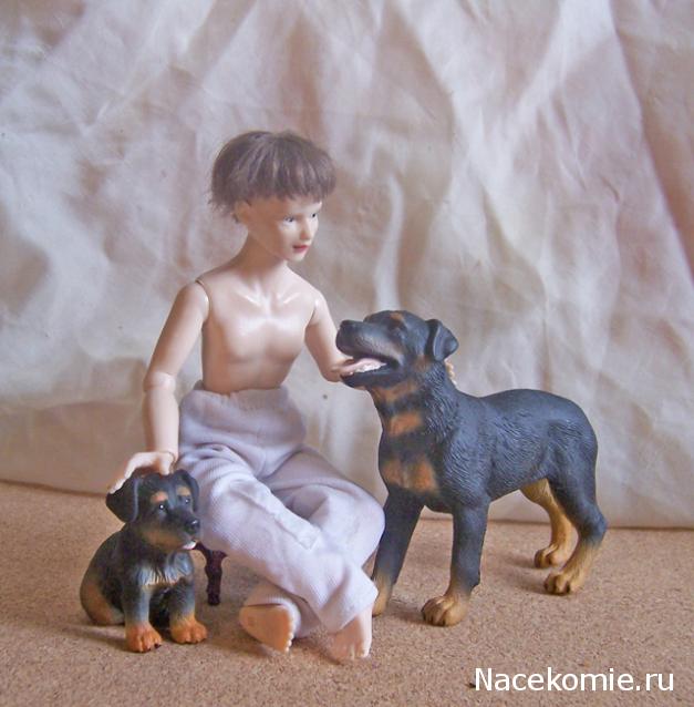 Жильцы Дома Мечты фото, ссылки, обсуждение