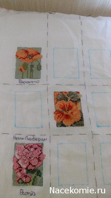 Round Robin_координатор Mabelle