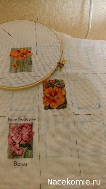 Round Robin_координатор Mabelle