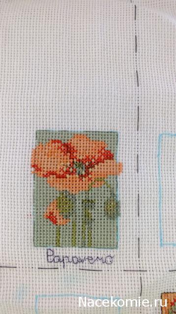 Round Robin_координатор Mabelle