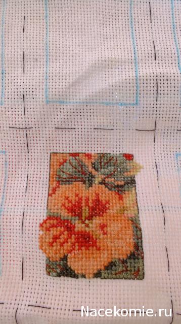 Round Robin_координатор Mabelle
