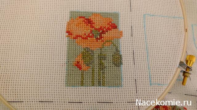 Round Robin_координатор Mabelle