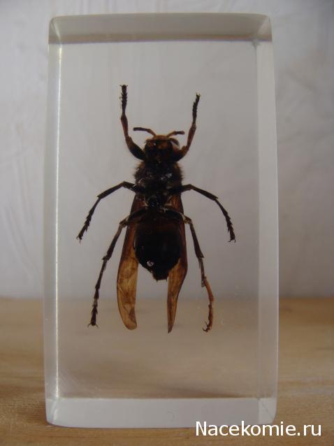 Тестовая серия