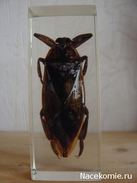 Тестовая серия