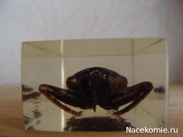 Тестовая серия