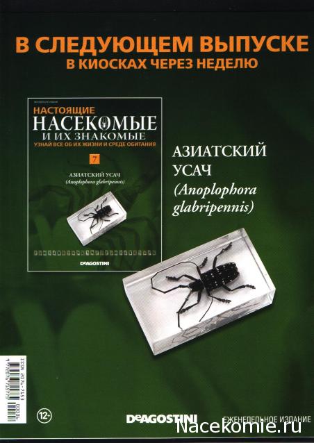 Тестовая серия