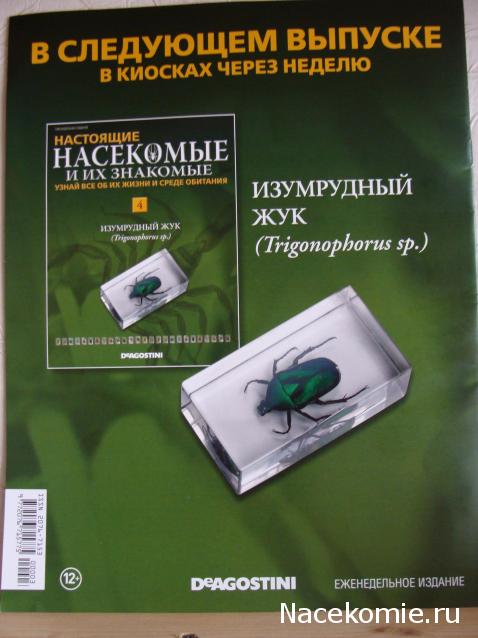 Тестовая серия