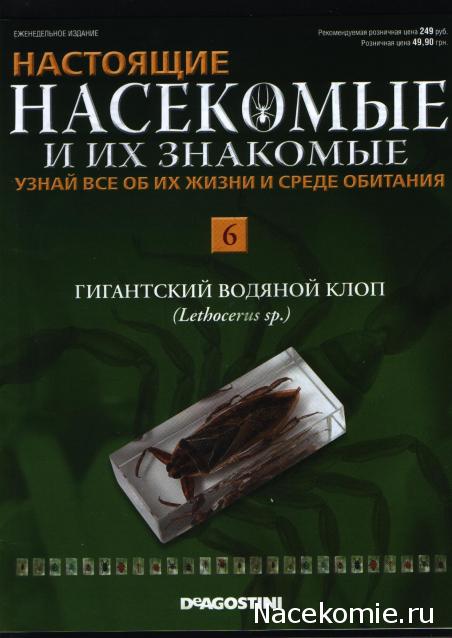 Тестовая серия