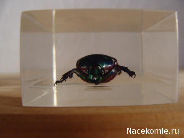 Тестовая серия