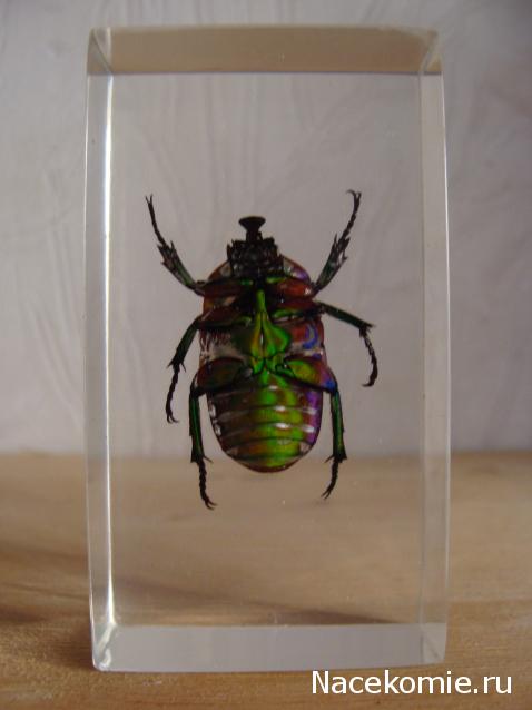 Тестовая серия