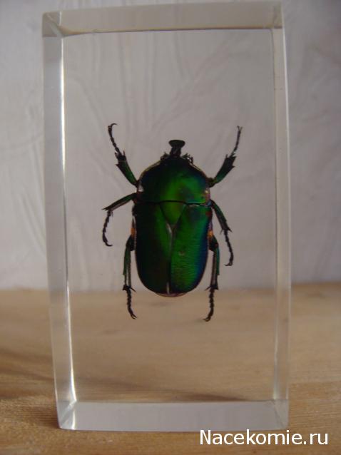 Тестовая серия