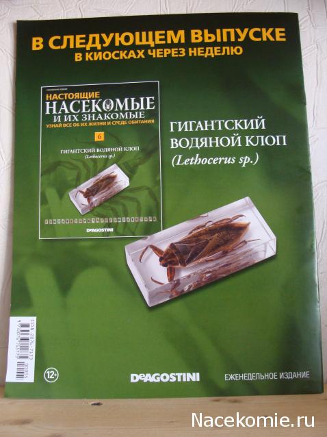 Тестовая серия