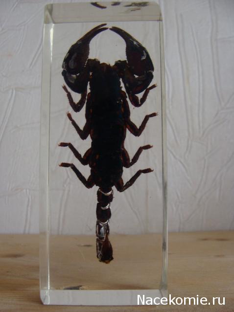 Тестовая серия