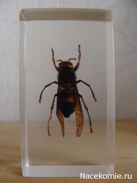 Тестовая серия