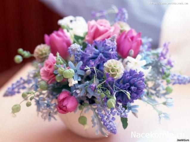 sphynx Канадские сфинксы в английском доме