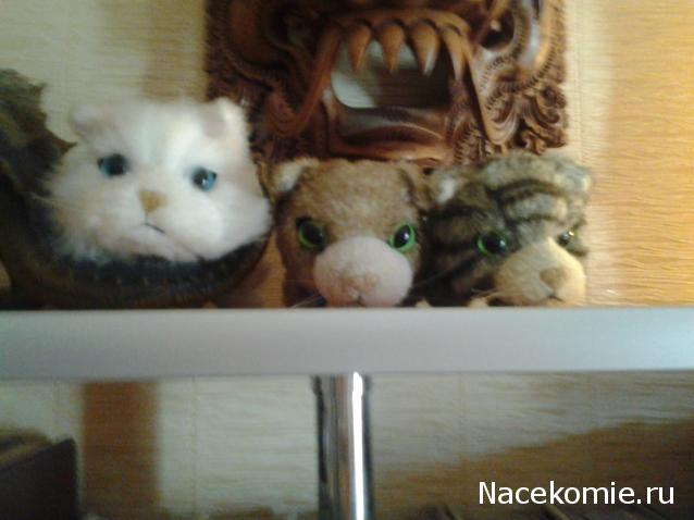 Кошкин дом. Болталка The Cat Collection