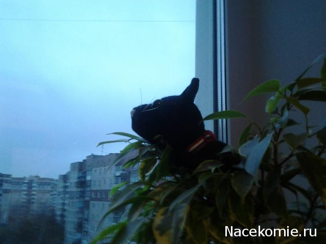 Кошкин дом. Болталка The Cat Collection