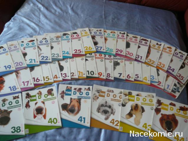 The Dog Collection Болталка