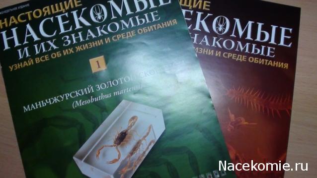 Тестовая серия