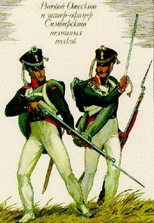 Наполеоновские войны №44 Унтер-офицер Архангелогородского пехотного полка, 1812 г.